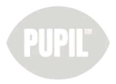 Pupil